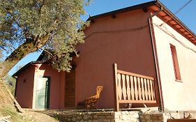 Azienda Agricola Colle Paradiso